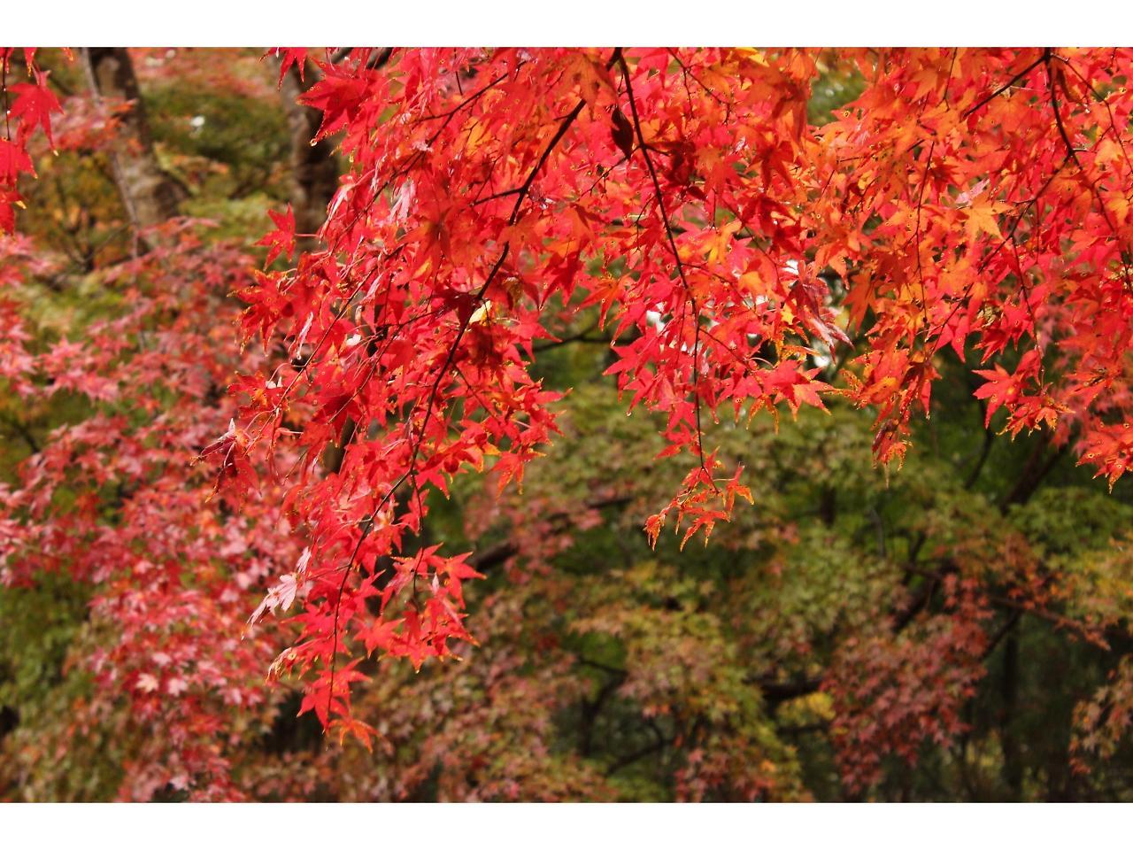 Goi Grand Hotel Ichihara Buitenkant foto